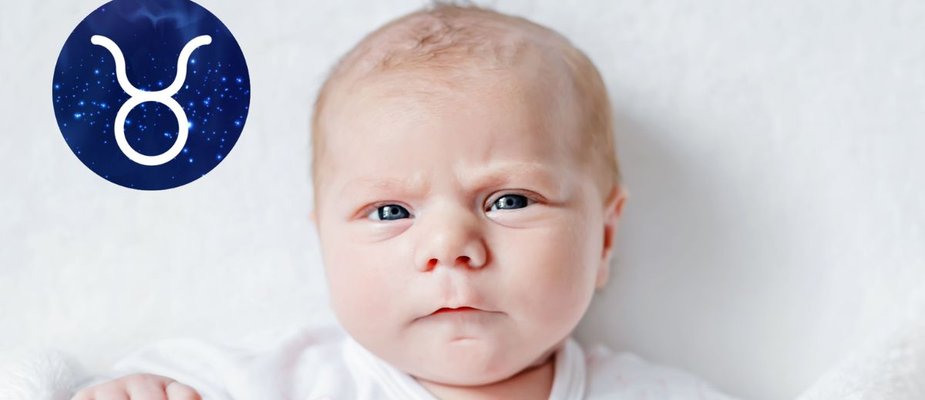 Bebês de Touro: Conheça todas as suas características!