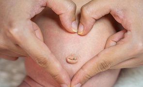 coto umbilical fases
