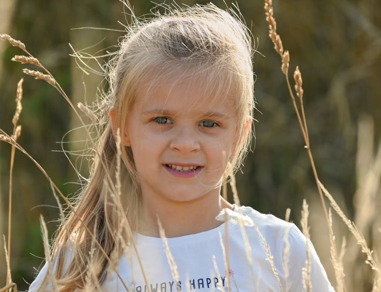 11 06 vt jr 330 jpg 12